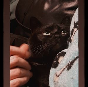 Meet your Posher, Gee